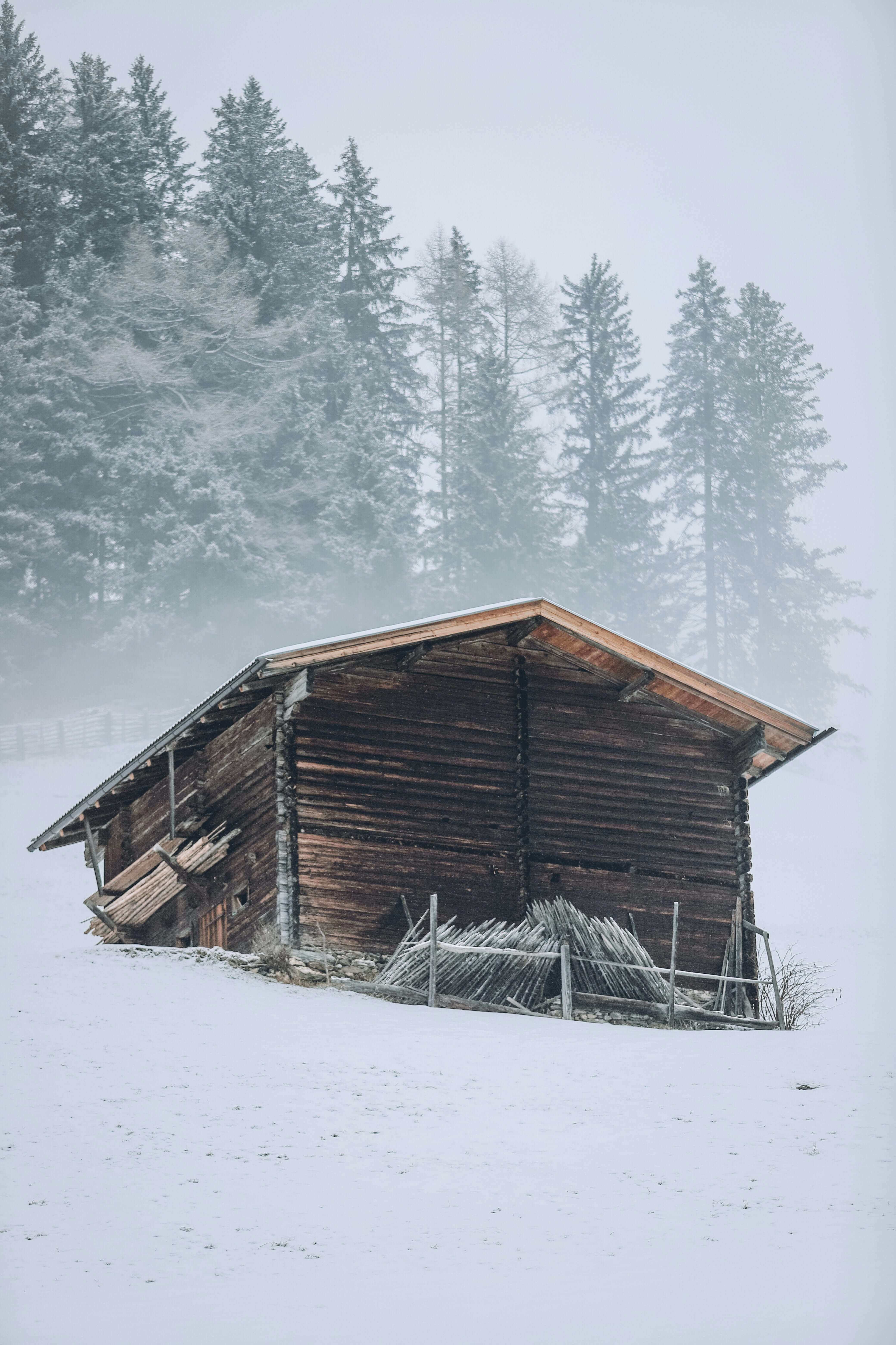 Cabin in snowy forest